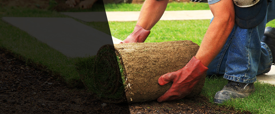 Quincy Landscapers